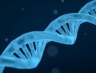 Seul un test ADN pourra rétablir la vérité, estiment des scientifiques. // Source : Pixabay/CC0