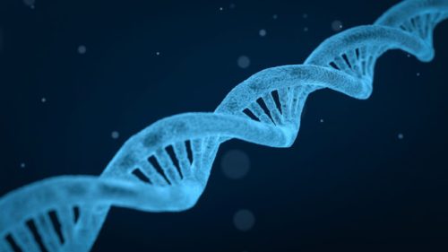 Seul un test ADN pourra rétablir la vérité, estiment des scientifiques. // Source : Pixabay/CC0