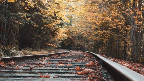 Les feuilles qui tombent en automne peuvent perturber les transports en commun. // Source : Pixabay/CC0 photo recadrée