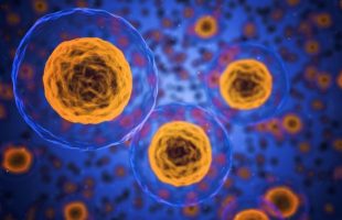 L'atlas va recenser les 300 sortes de cellules de notre organisme. // Source : Pixabay/CC0 (photo recadrée)