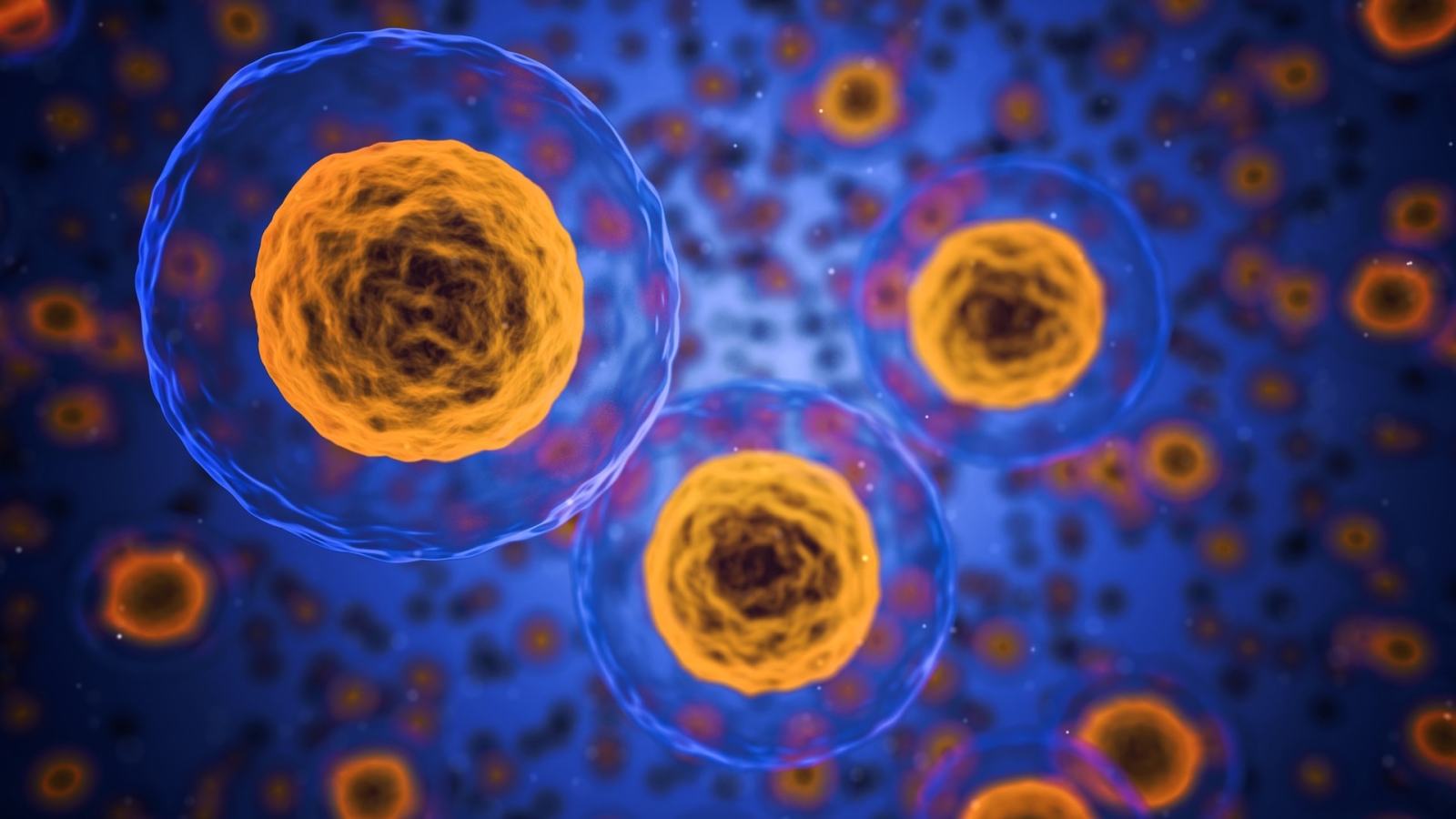 « Remonter le temps » biologique : ce traitement anti-âge obtient le feu vert pour des tests humains