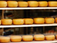 Des fromages, alignés sur des étagères. // Source : publicdomainpictures.net