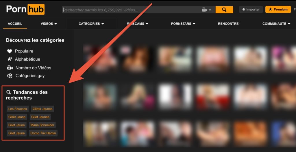 Catégorie tendance de Pornhub le 28 novembre 2018