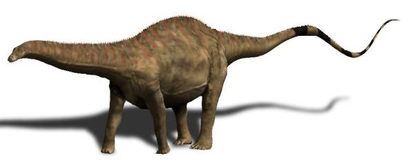 Un Rebbachisaurus. // Source : Wikimedia/CC/Nobu Tamura