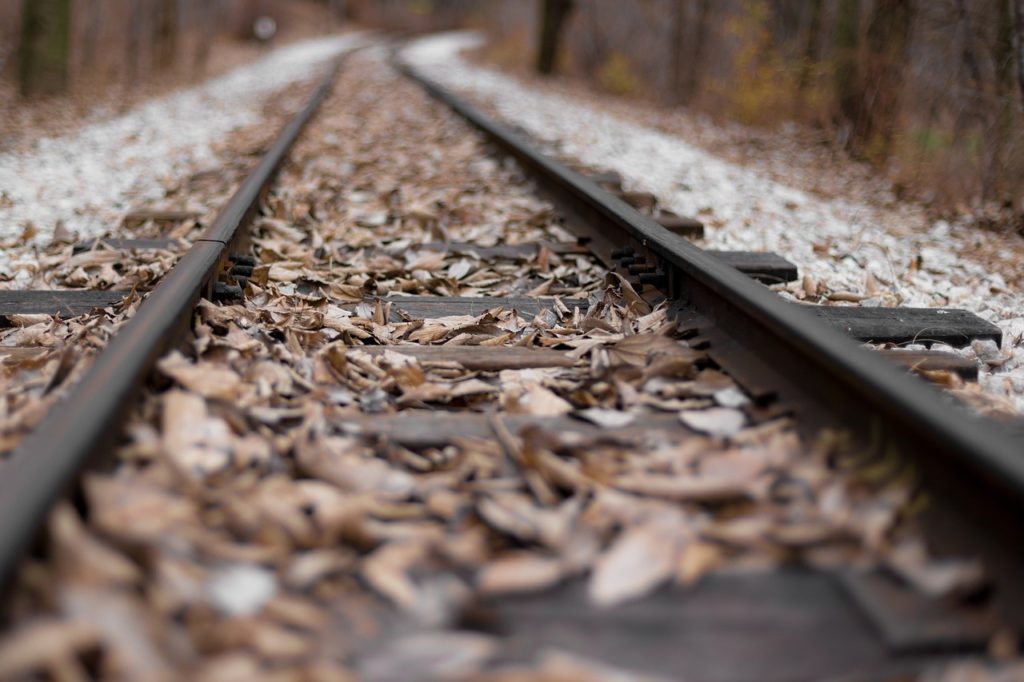 Les feuilles sont à l'origine d'une perte d'adhérence entre les roues et les rails. // Source : Max Pixel/CC0