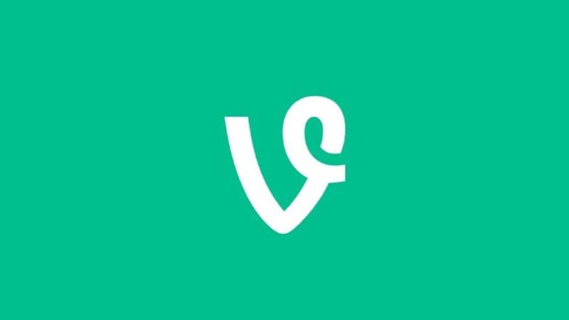 Elon Musk annonce le grand retour de Vine… mais il y a un piège