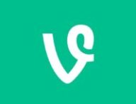 Le logo de l'application mobile vidéo Vine. // Source : Vine / Numerama