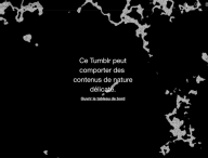 Capture d'écran d'un Tumblr français inaccessible le 18 décembre 2018