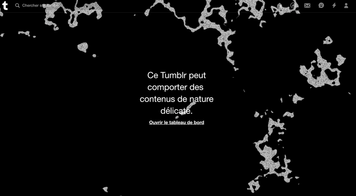 Capture d'écran d'un Tumblr français inaccessible le 18 décembre 2018