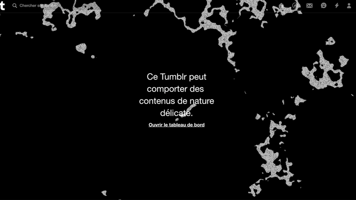 Capture d'écran d'un Tumblr français inaccessible le 18 décembre 2018