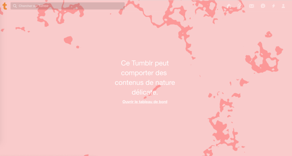 Le message qui s'affiche désormais sur Tumblr pour certains sites Le message qui s'affiche désormais sur Tumblr pour certains sites