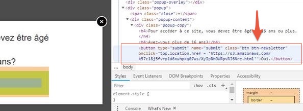 Capture d'écran prise après inspection du bouton "oui"