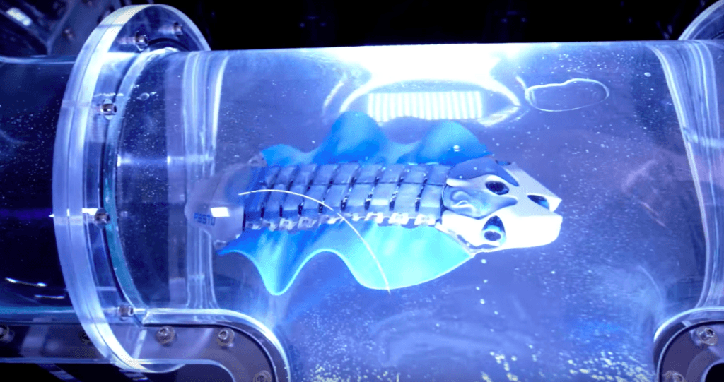 Le BionicFinWave de Festo, présenté en juin 2018, se meut dans l'eau comme le Velox. // Source : Festo