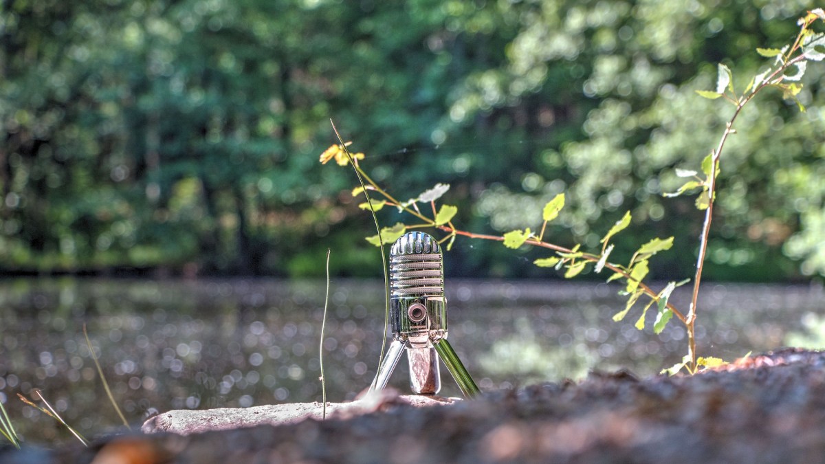 Un enregistrement dans la nature. // Source : Pxhere/CC0 (photo recadrée)