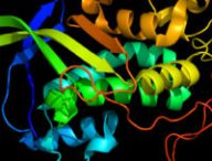 Ceci est une protéine, la NPC1 PDB 3GKH. // Source : Pleiotrope