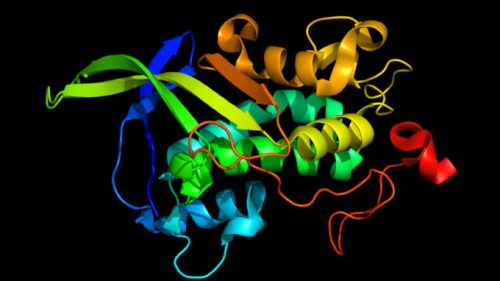Ceci est une protéine, la NPC1 PDB 3GKH. // Source : Pleiotrope