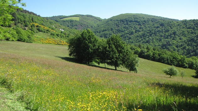 La réserve des Coteaux du Fel. // Source : L. Campourcy (via Ulule)