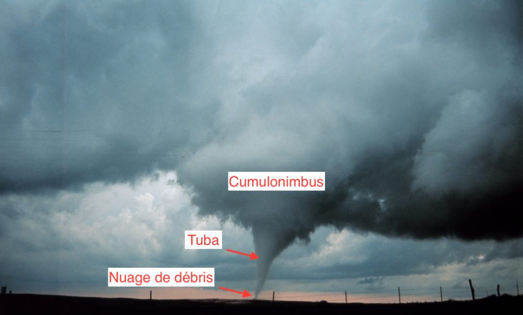 Une tornade photographiée en 1999 en Oklahoma. // Source : Wikimedia/CC/OAR/ERL/National Severe Storms Laboratory (NSSL)