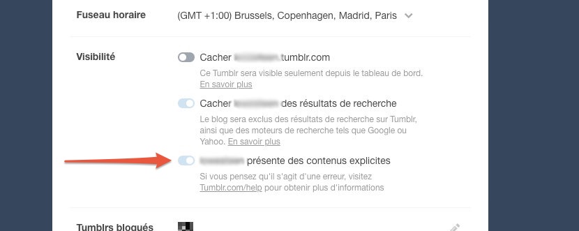 Capture d'écran Tumblr France // Source : Numerama Capture d'écran Tumblr France // Source : Numerama
