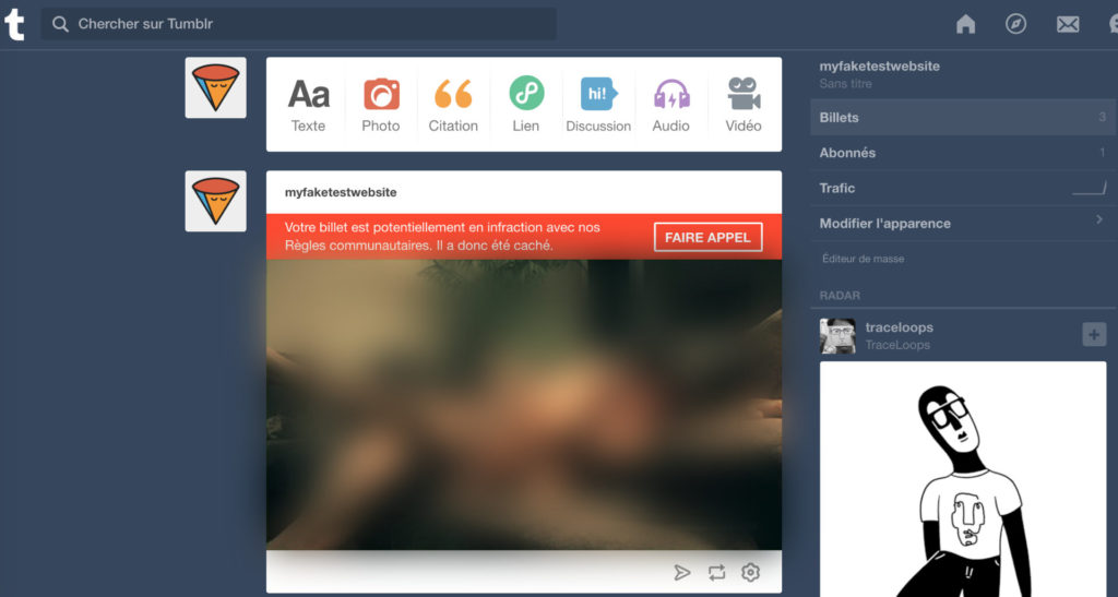 Test de publication d'un contenu érotique sur un Tumblr // Source : Numerama