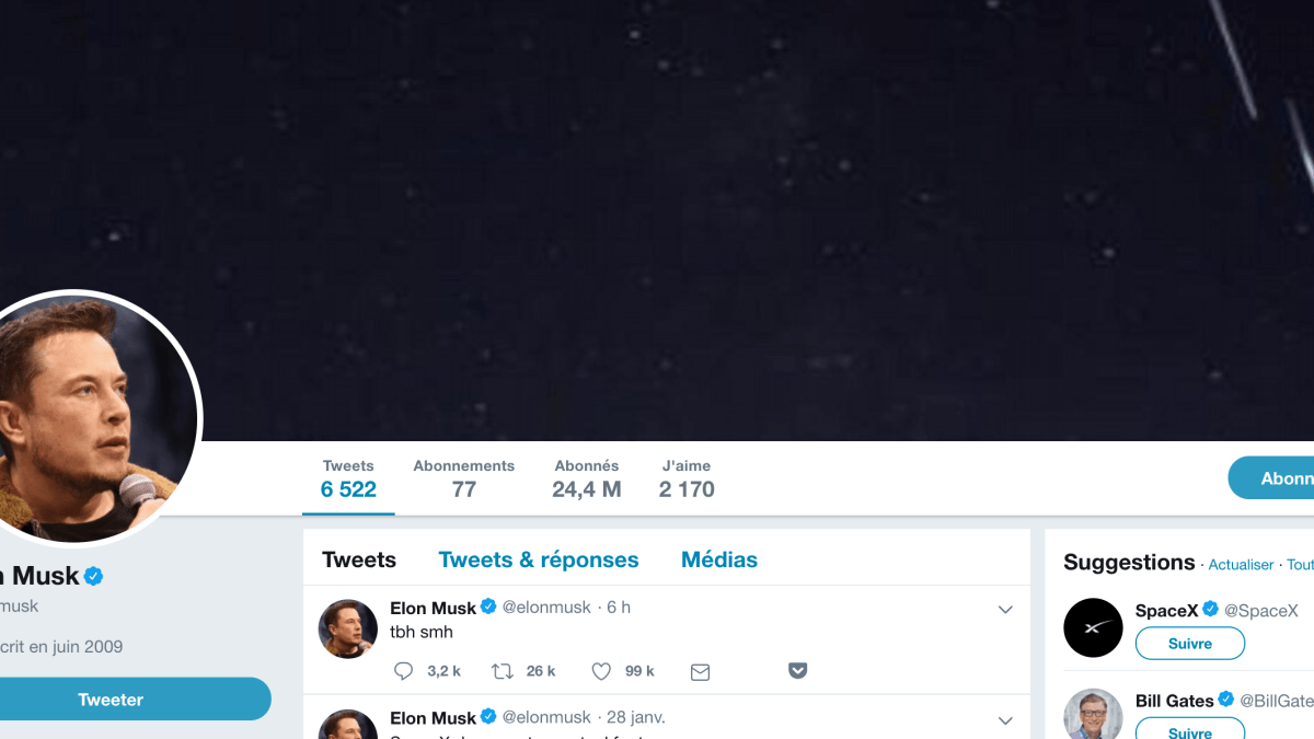 Capture d'écran du compte d'Elon Musk le 30 janvier 2019 // Source : Twitter/ElonMusk