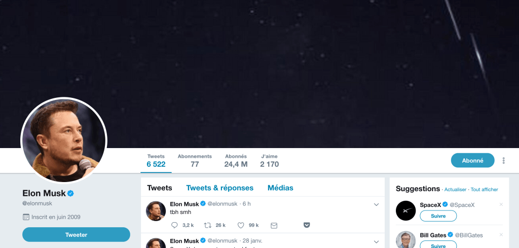 Capture d'écran du compte d'Elon Musk le 30 janvier 2019 // Source : Twitter/ElonMusk