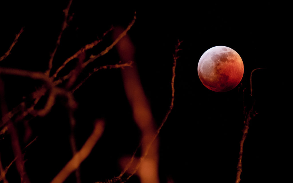 L'éclipse lunaire totale du 21 janvier 2019. // Source : Flickr/CC/Bill Devlin (photo recadrée)
