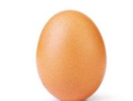 L’œuf le plus célèbre au monde. // Source : world_record_egg / Instagram