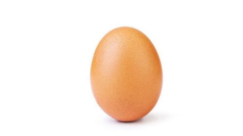 L’œuf le plus célèbre au monde. // Source : world_record_egg / Instagram