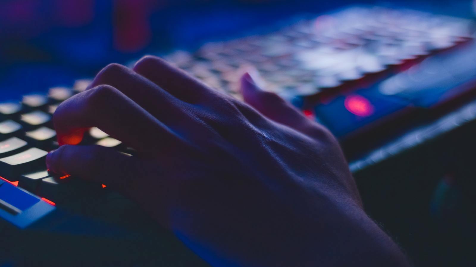 Les « bug-bounty », ces chasses aux bugs qui récompensent toujours les mêmes