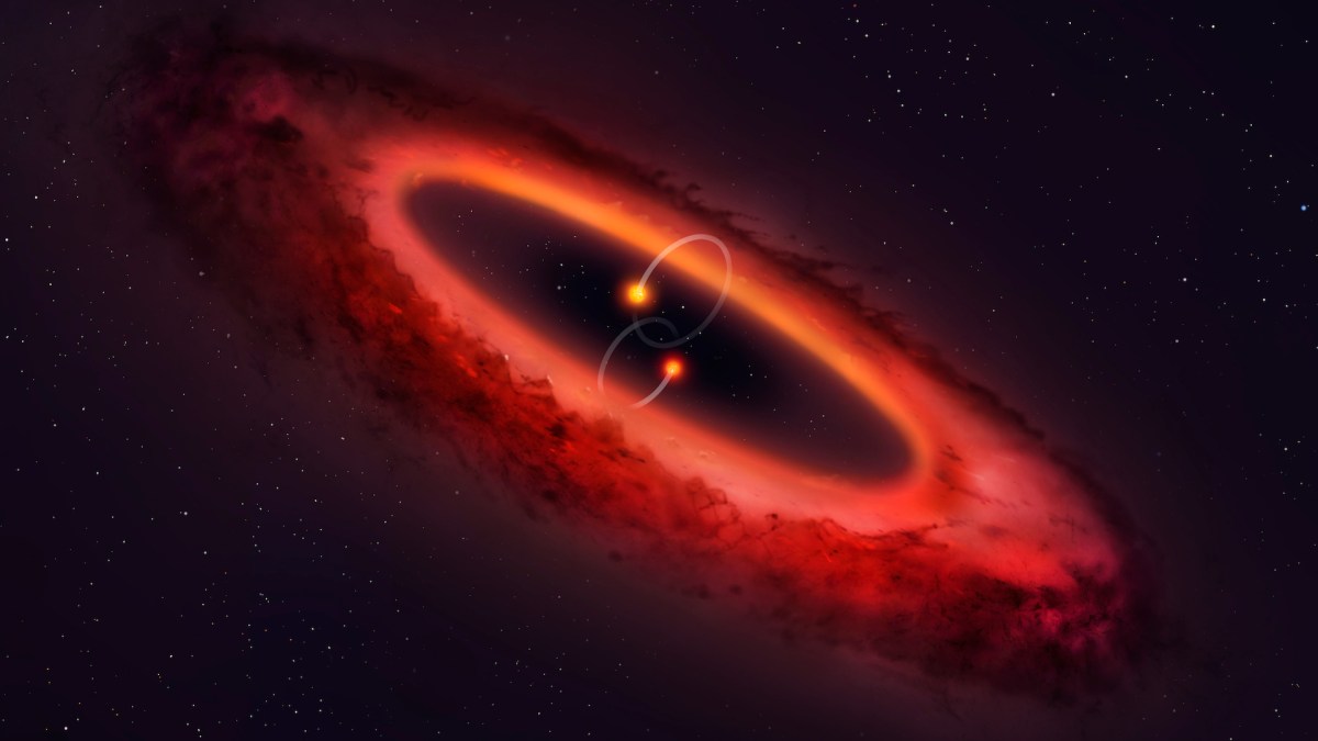 Ce système solaire a été identifié par le télescope ALMA. // Source : University of Warwick/Mark Garlick