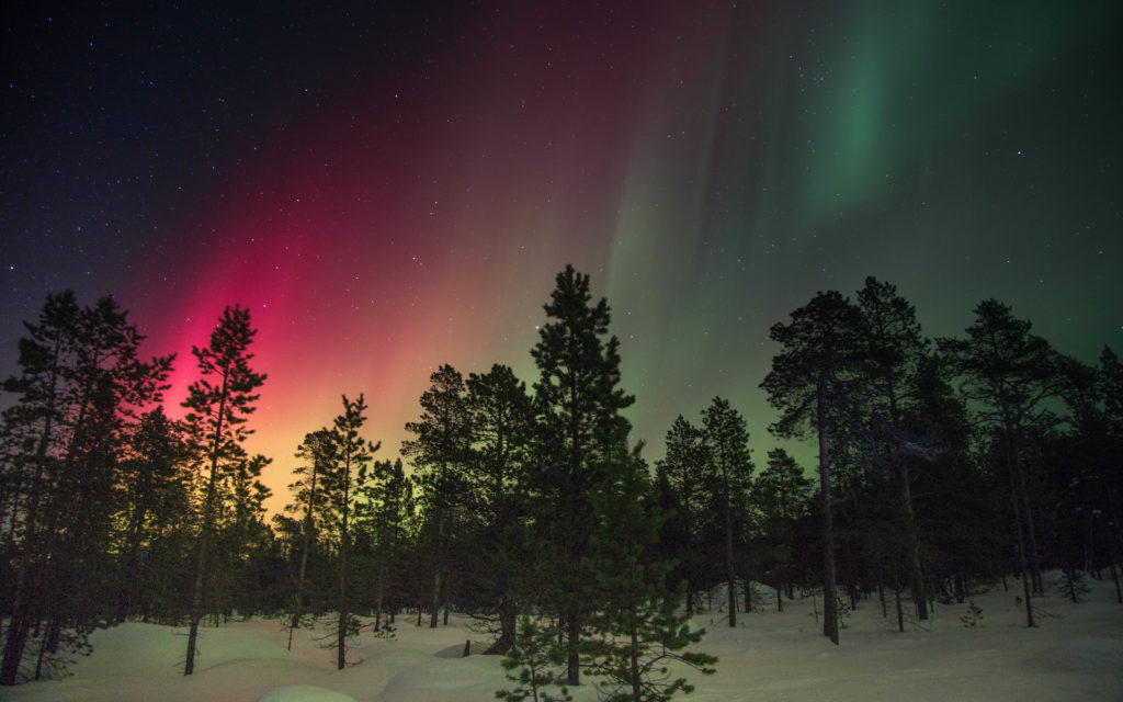 Des aurores boréales en Suède. // Source : Good Free Photos/Domaine public (photo recadrée)