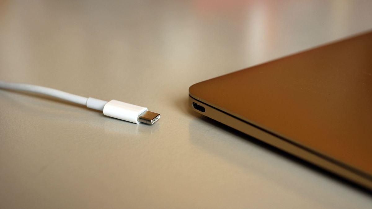 Câble USB-C // Source : Flickr/Maurizio Pesce