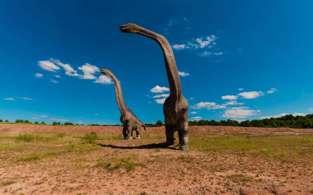 Des dinosaures. // Source : Pxhere/CC0 Domaine public (photo recadrée)