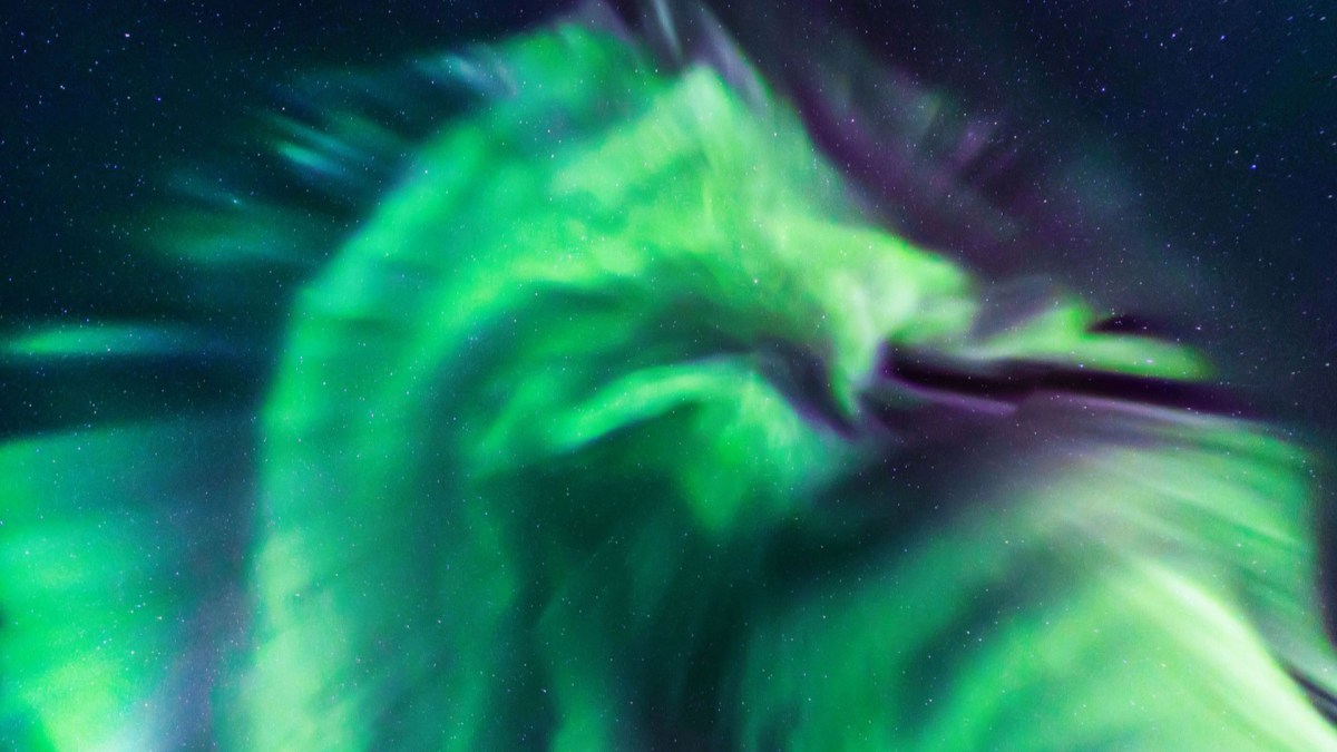 Le dragon caché parmi les aurores boréales. // Source : Jingyi Zhang et Wang Zheng (photo recadrée)