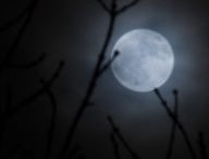Une "super-lune". // Source : Pixabay (photo recadrée)
