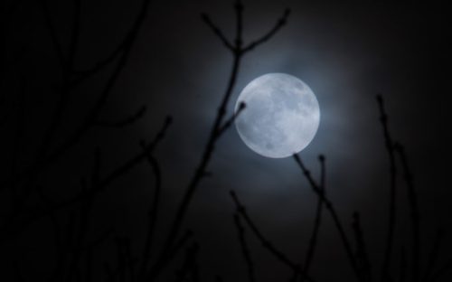 Une "super-lune". // Source : Pixabay (photo recadrée)