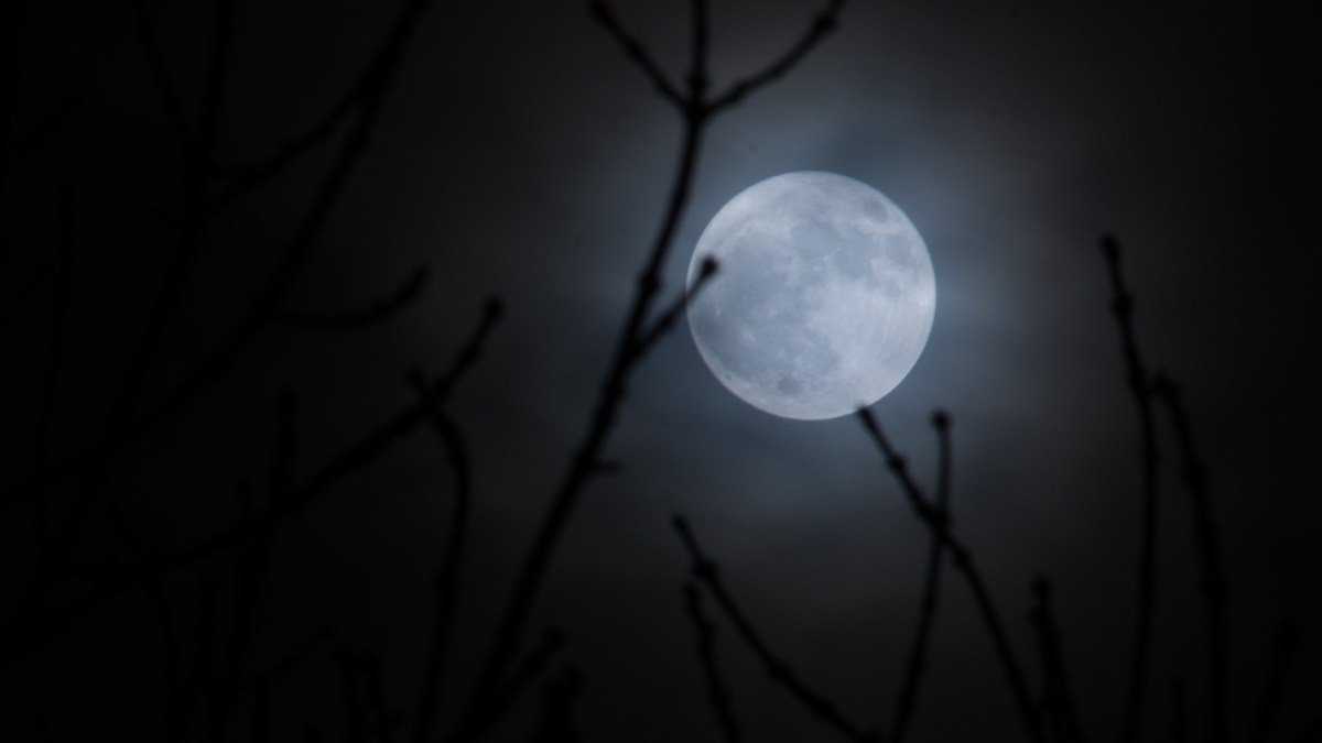 Une "super-lune". // Source : Pixabay (photo recadrée)