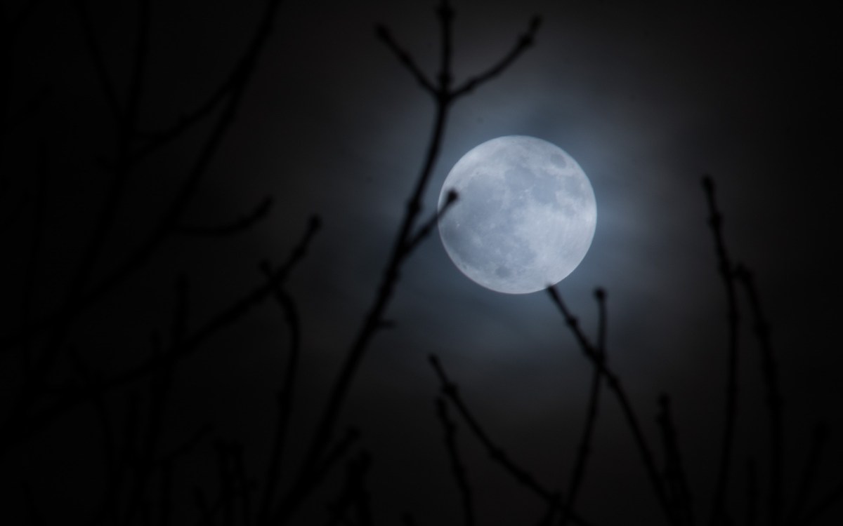 Une "super-lune". // Source : Pixabay (photo recadrée)