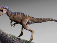 La nouvelle espèce de tyrannosaure découverte. // Source : Jorge Gonzales (photo recadrée)