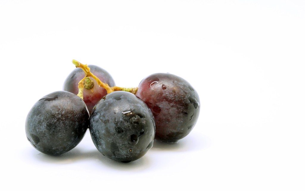 Des grappes de raisin. // Source : Pixabay (photo recadrée)
