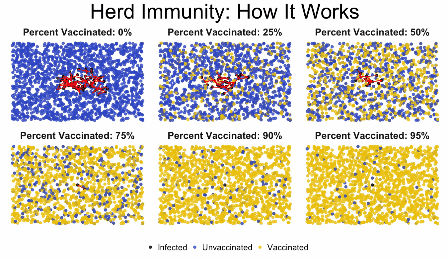 Comment une maladie se propage en fonction de la proportion de personnes vaccinées // Source : curioctopus