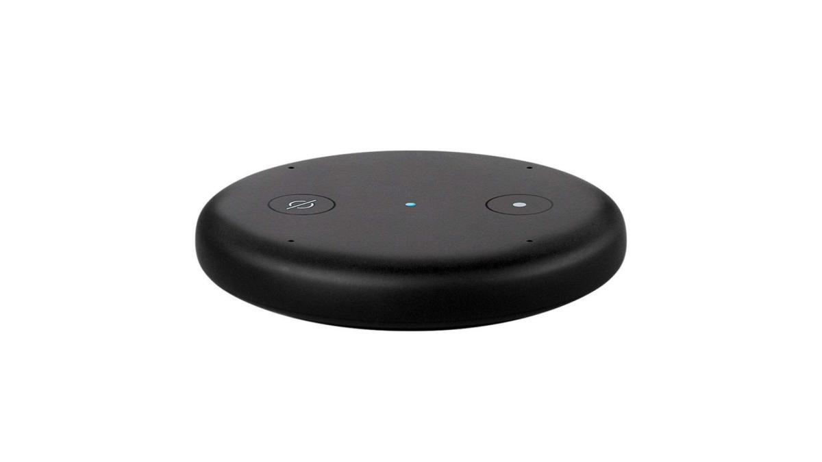 Amazon Echo Input