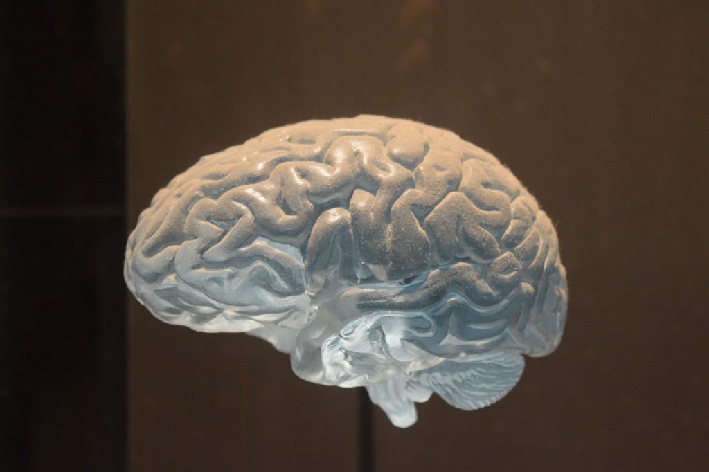 Une représentation d'un cerveau humain. // Source : Pixabay (photo recadrée)