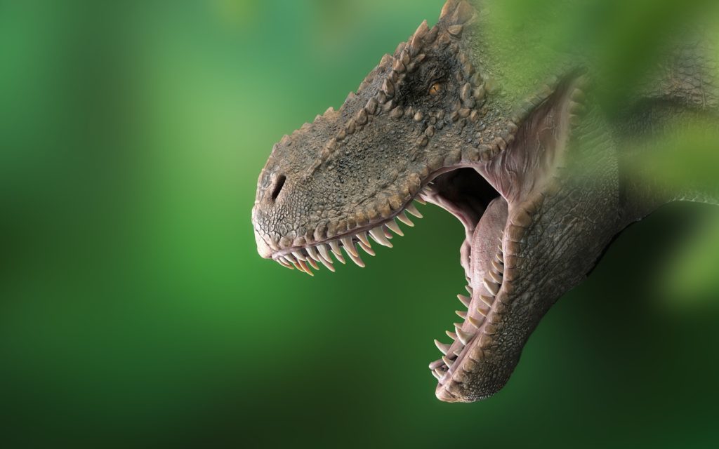 Le fameux « T-Rex », que l'on rechigne toujours à représenter avec ses plumes de poulet // Source : Pixabay