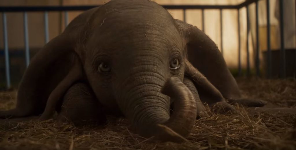 Dumbo, définitivement adorable dans ce film. // Source : Youtube/Walt Disney Studios