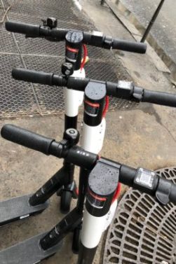 Les nouvelles trottinettes Bird à Paris // Source : Numerama Les nouvelles trottinettes Bird à Paris // Source : Numerama