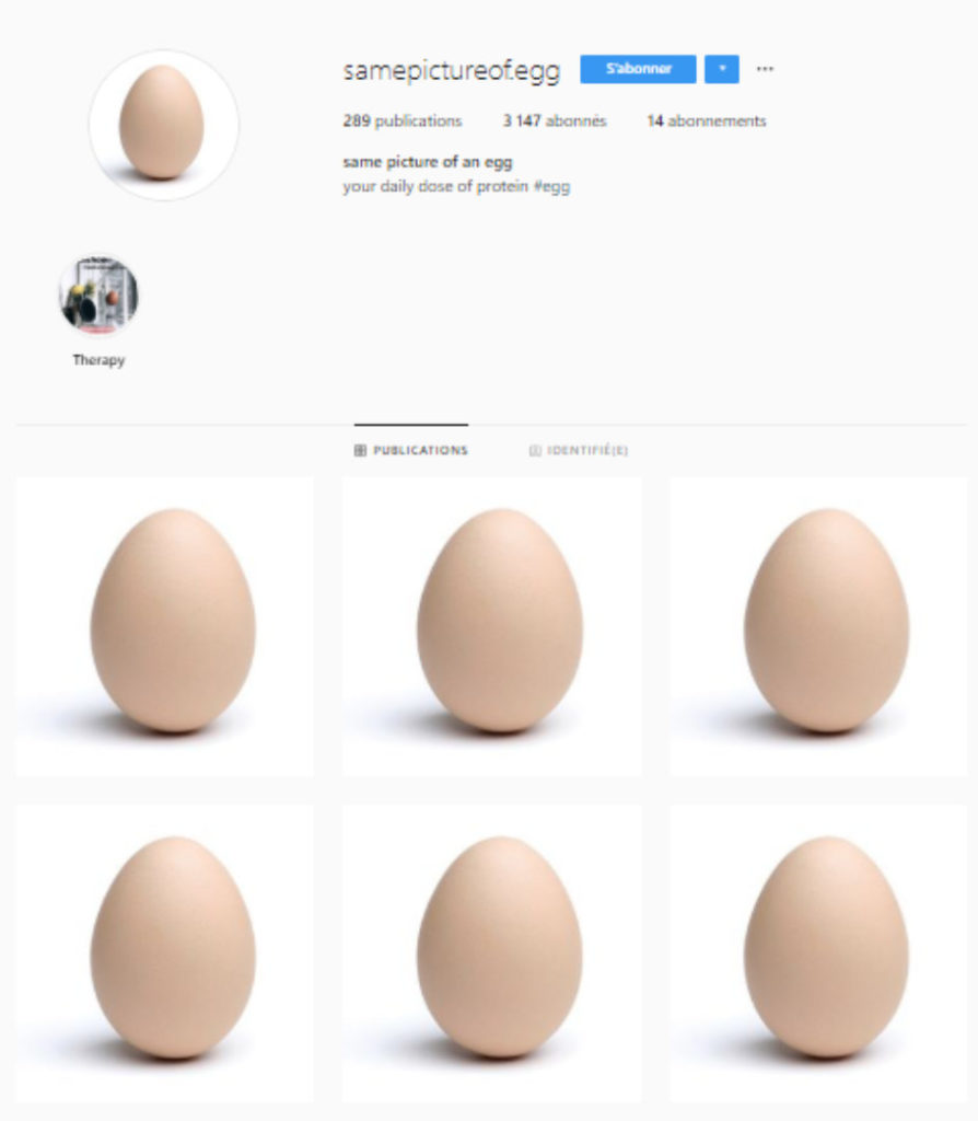 Extrait du compte samepictureof.egg // Source : Capture d'écran Instagram / samepictureof.egg