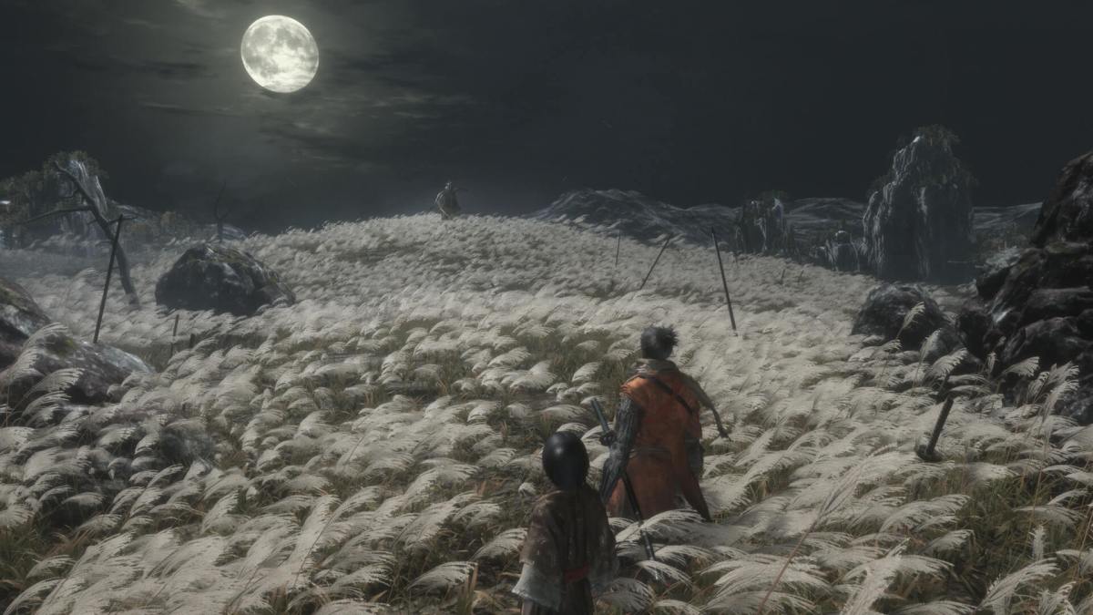 Sekiro: Shadows Die Twice // Source : Activision