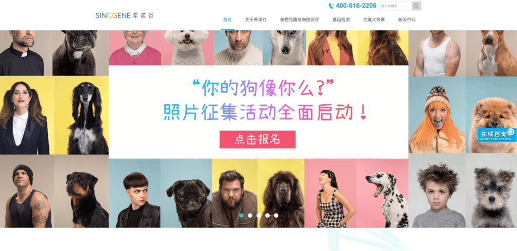 L'entreprise de Pékin spécialisée dans le clonage des animaux. // Source : Capture d'écran du site de Sinogene Biotechnology.